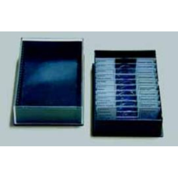 LIEDER Set mare, bacterii, 50 lamele